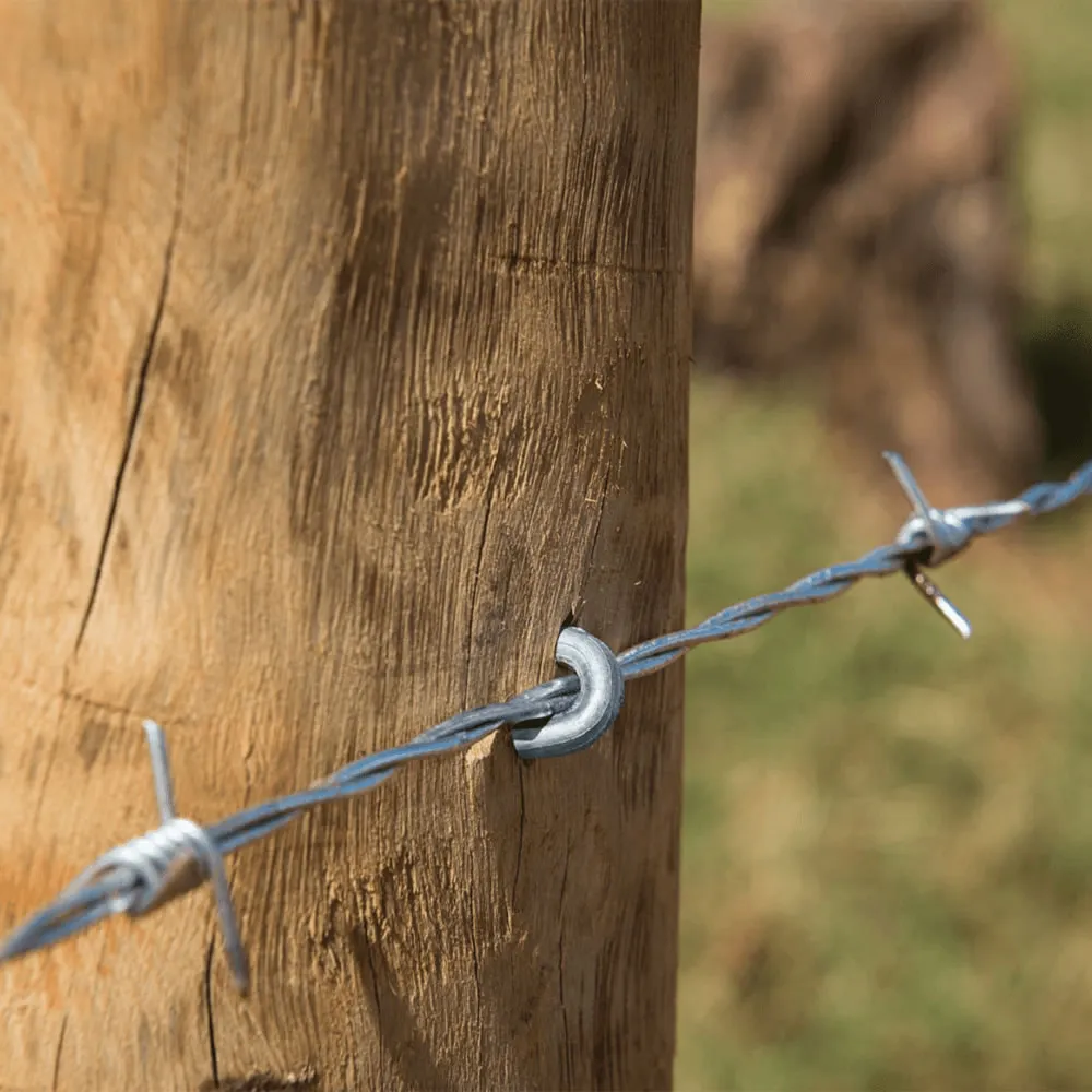 grampos-polidos-para-cercas (1)